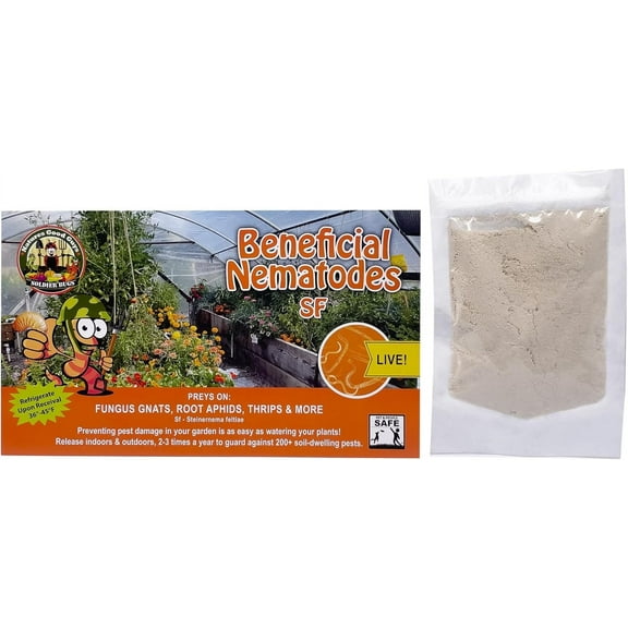 Beneficial Nematodes Steinernema Feltiae  SF (25 Million)  Fungus gnat