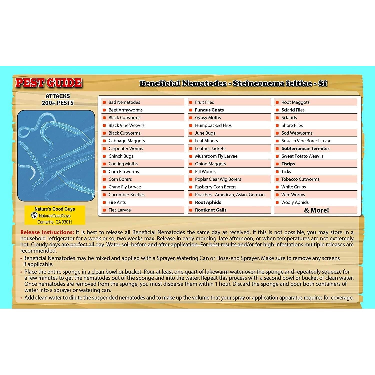Beneficial nematodes Heterorhabditis bacteriophora 5 Million Natures