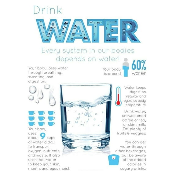 Benefits of Drinking Water Poster  Hydration Poster