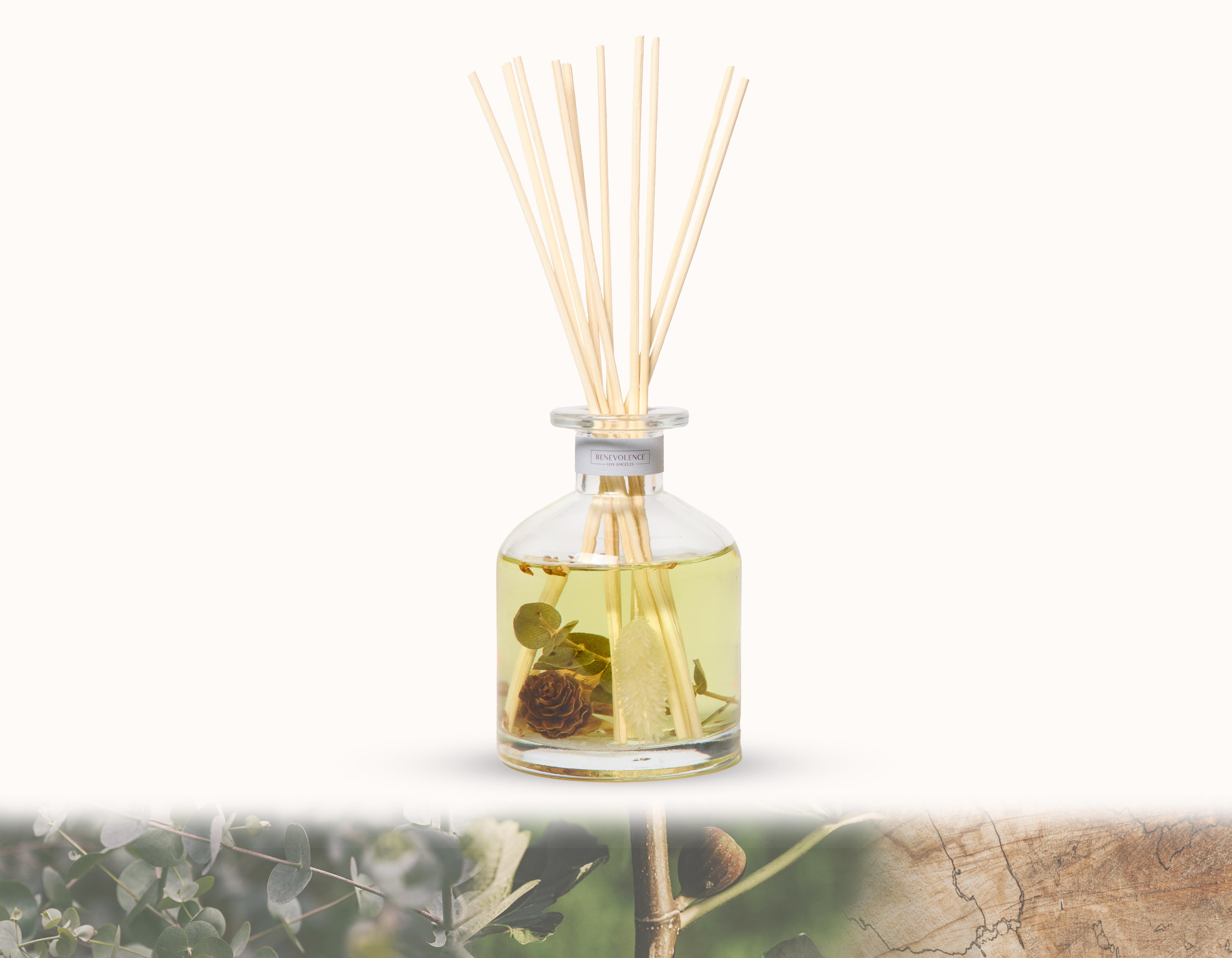 Benevolence LA Pacific Driftwood Reed Diffuser Eucalyptus, Fig ...