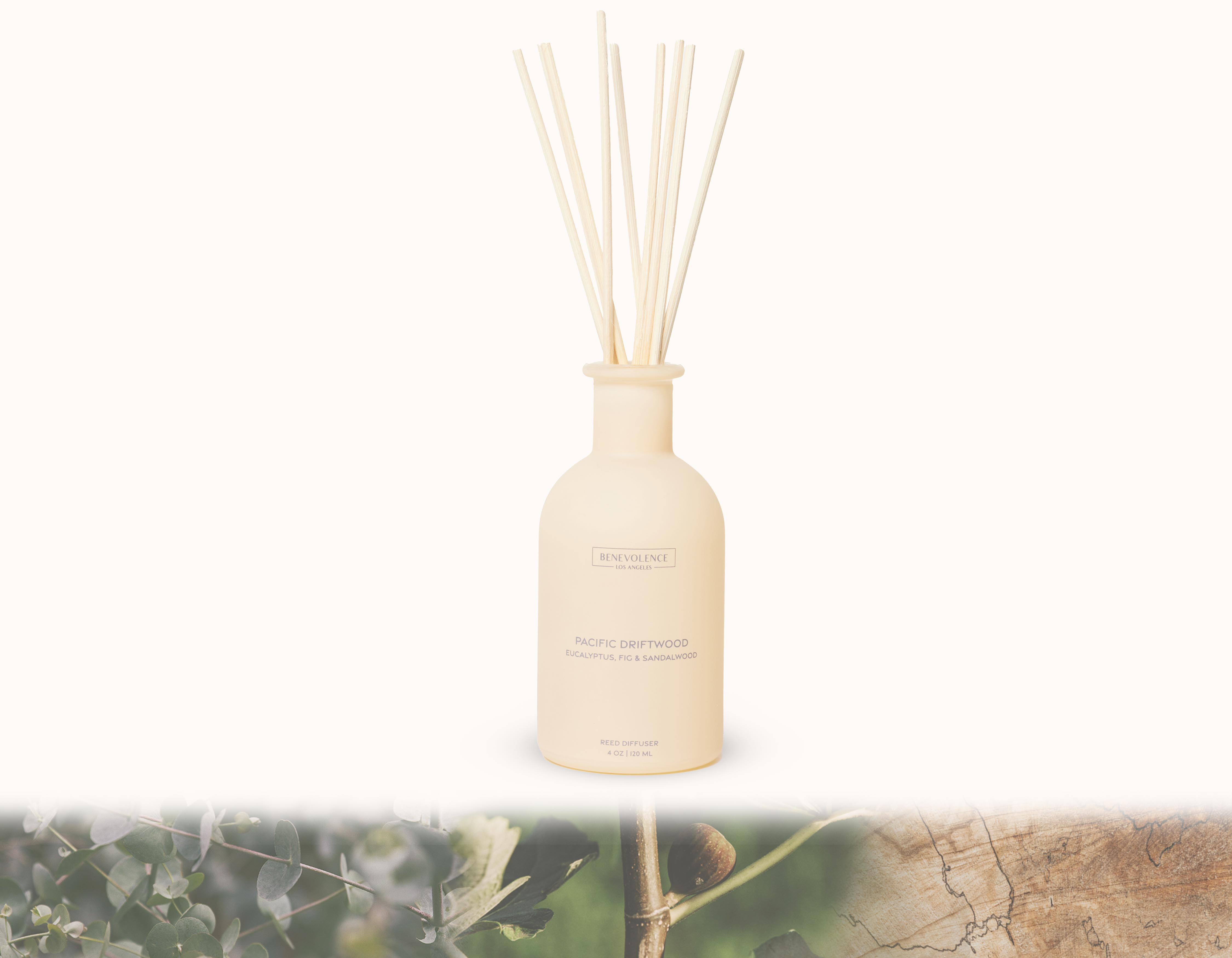 Benevolence LA Pacific Driftwood Reed Diffuser Eucalyptus, Fig ...