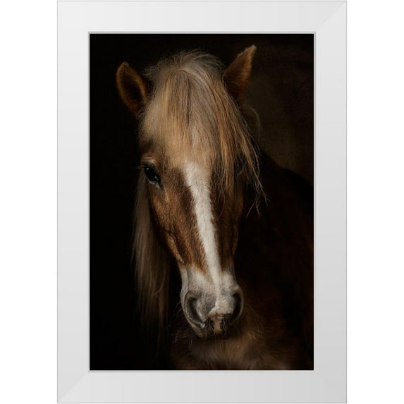 Benezech, Martine 13x18 White Modern Wood Framed Museum Art Print Titled - Sapience
