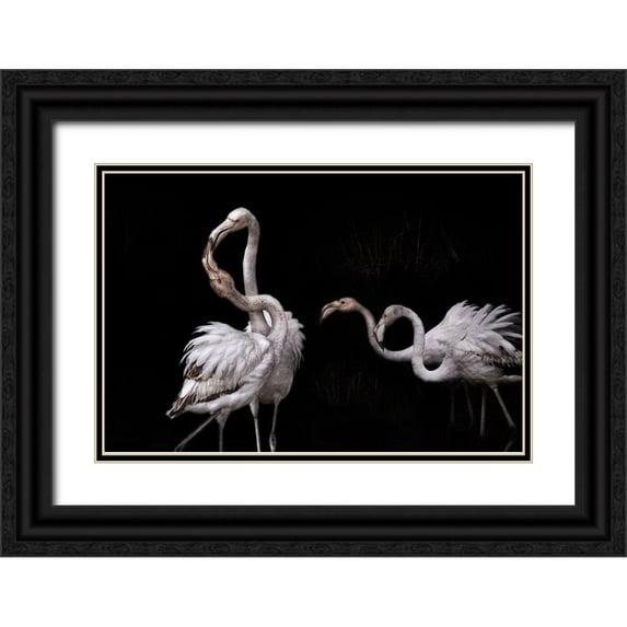 Benezech, Martine 14x11 Black Ornate Wood Framed with Double Matting Museum Art Print Titled - Tango And Flamingos