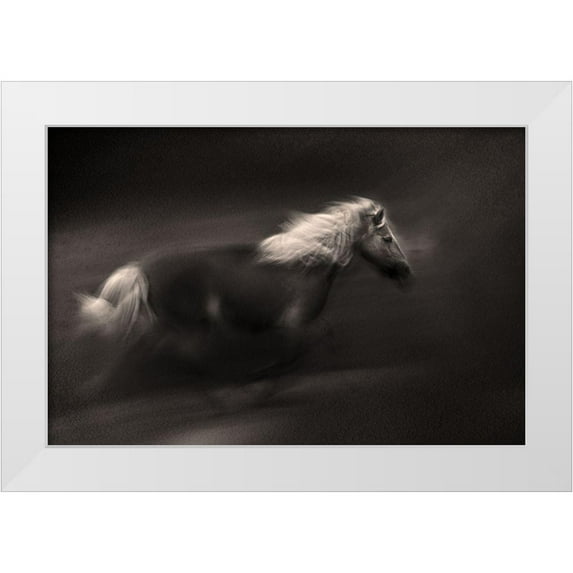 Benezech, Martine 32x23 White Modern Wood Framed Museum Art Print Titled - Wind And Earth Power