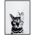 thumbnail image 1 of 'Bengal Cat' Black and White Pet Paintings on Printed Glass Encased with a Black Anodized Frame, 1 of 1