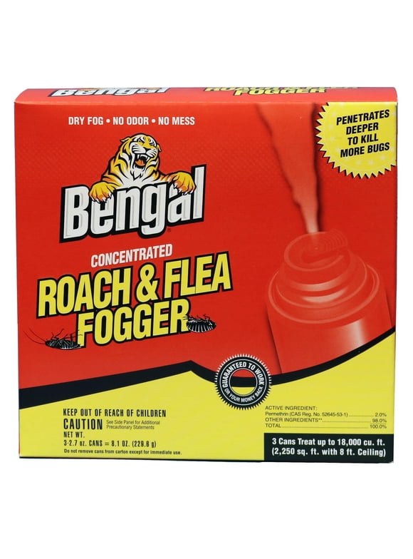 Bug Fogger in Pest Control