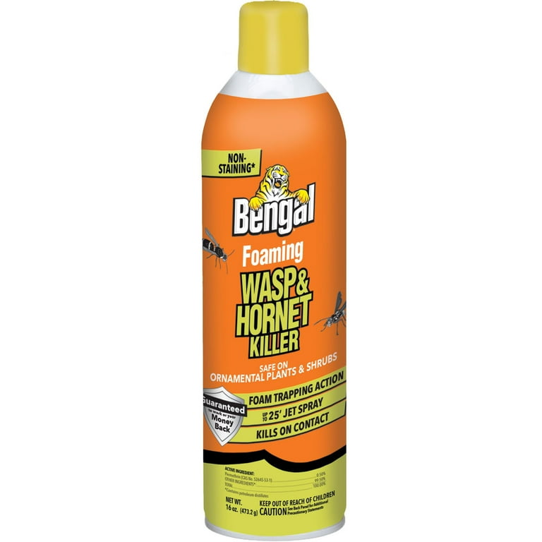 Wasp and Hornet Killer, 16 oz Aerosol Spray Wasp and Hornet Killer, 16 oz Aerosol Spray