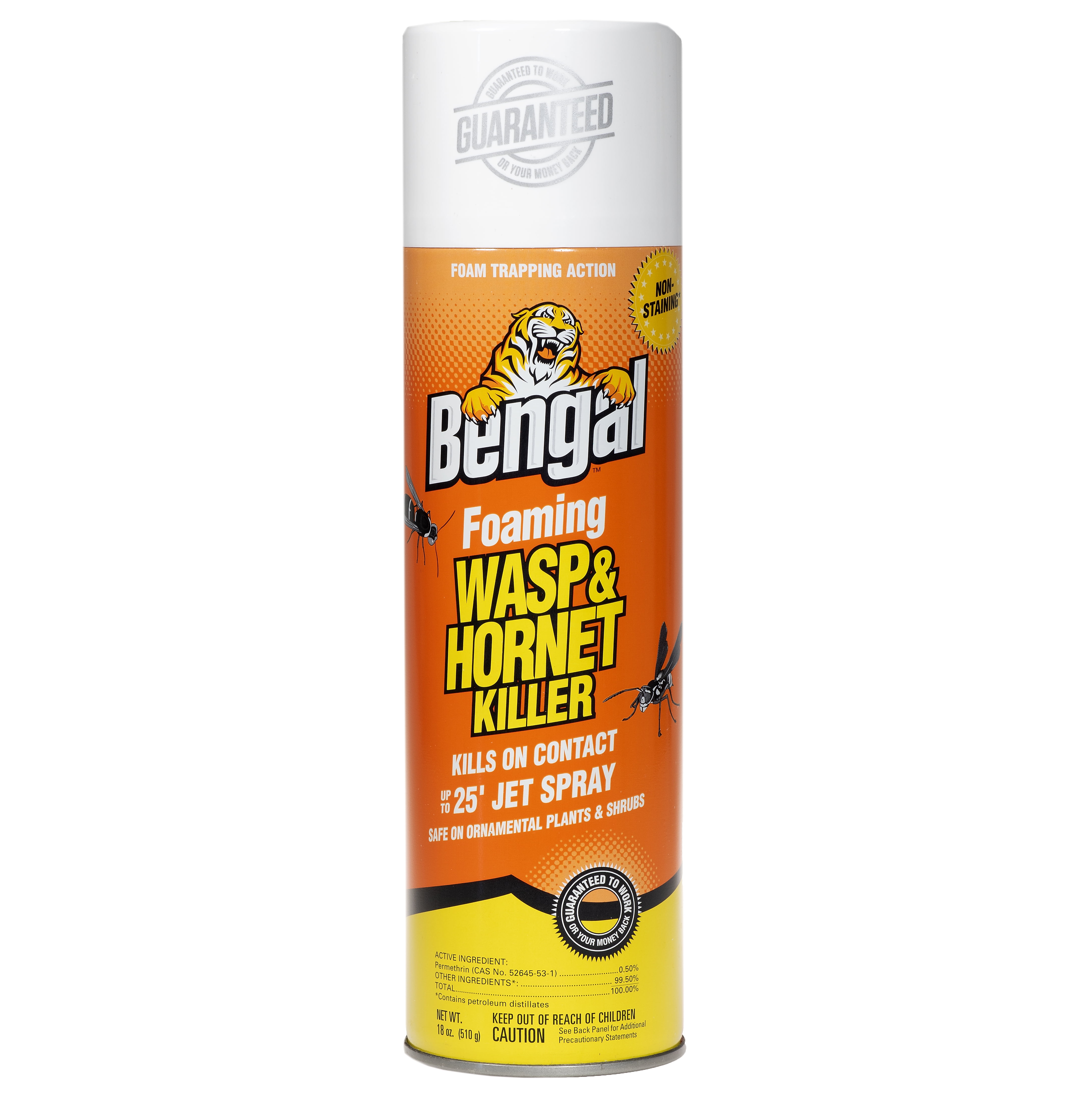Bengal Foaming Wasp & Hornet Killer