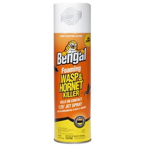 Bengal Foaming Wasp & Hornet Killer Spray, 18 oz