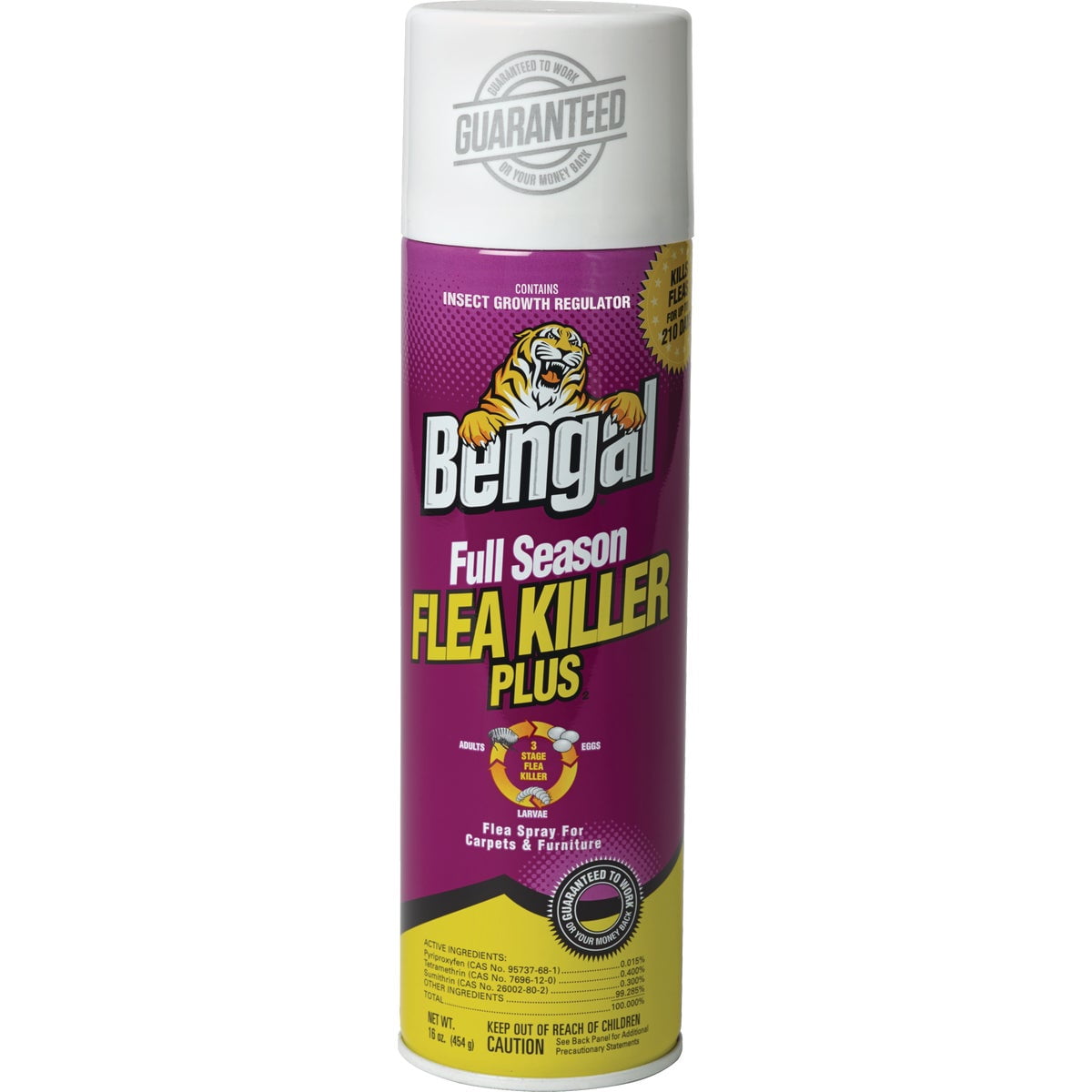 Curated visual reference: Gallery Detail: Bengal Full Season Flea Killer Plus Tick Spray With Morocco