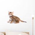 thumbnail image 1 of Bengal Kitten Wall Decal Sticker, Wallmonkeys Peel and Stick Vinyl Mural Pet Graphic (18 in W x 12 in H), 1 of 4