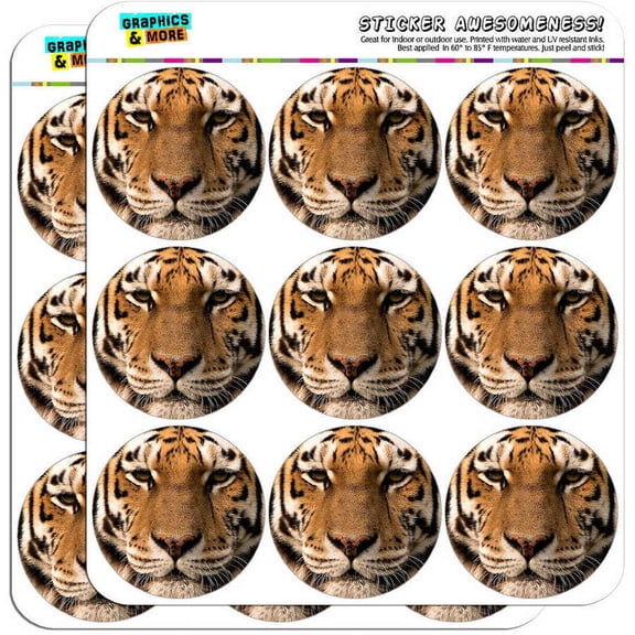 Bengal Tiger Face 18 2" Planner Calendar Scrapbooking Crafting Stickers