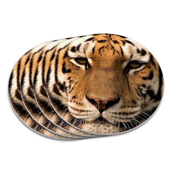 Bengal Tiger Face Coaster Set