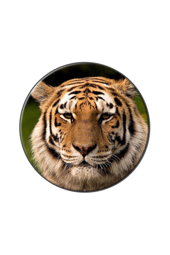 Bengal Tiger Face Lapel Hat Pin Tie Tack Large Round
