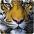 thumbnail image 1 of Bengal Tiger Face Novelty Sign | Indoor/Outdoor | Funny Home Décor for Garages, Living Rooms, Bedroom, Offices | SignMission personalized gift Wall Plaque Decoration, 1 of 1