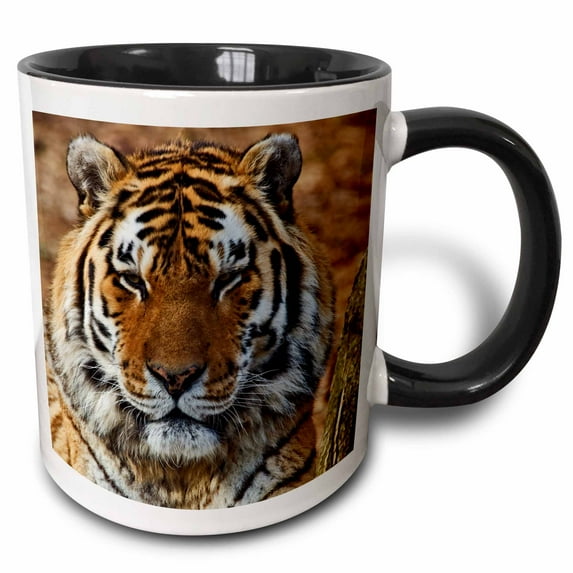 3drose, Bengal Tiger, Louisville Zoo, Louisville, Kentucky - Us18 Aje0301 - Adam Jones, 11oz Two-tone Black Mug
