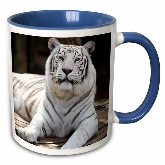 3drose, Bengal Tigers, New Orleans, Louisanna - Us19 Tau0010 - Tananarive Aubert, 11oz Two-tone Blue Mug
