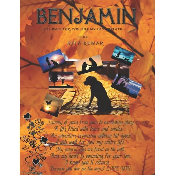 Benjamin (Paperback)
