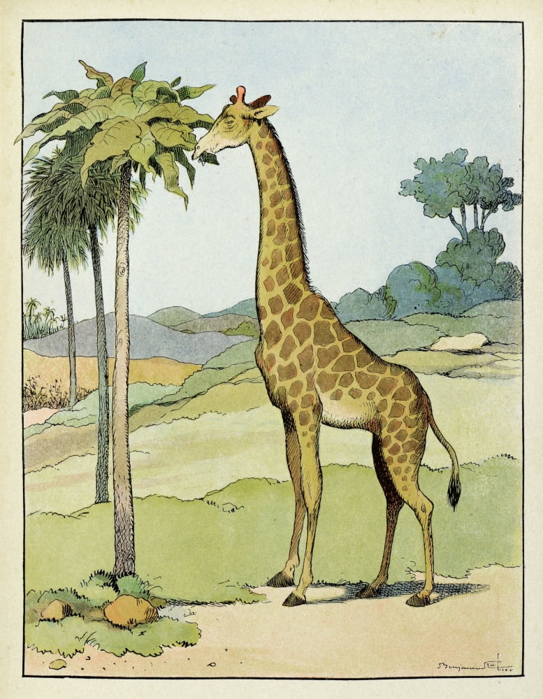 Benjamin Rabier (1864-1939) Canvas Art - (24 x 36)