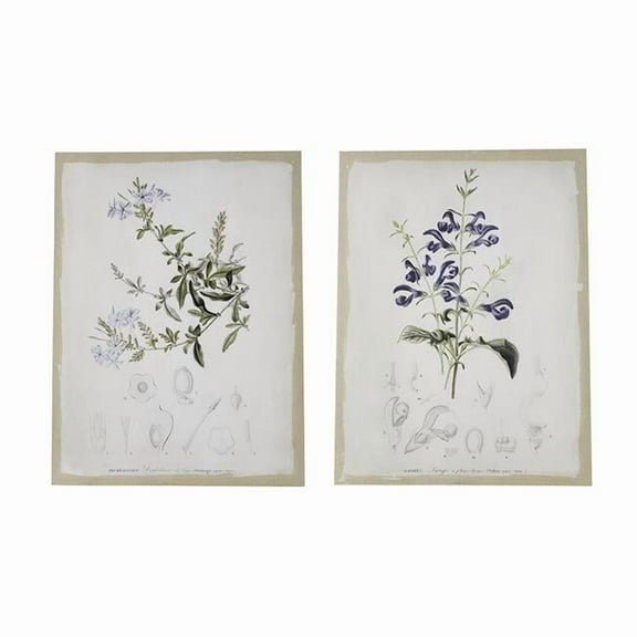 Benjara 24 x 32 Set of 2 Framed Wall Art Prints- Floral- Modern White and Black