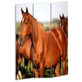 thumbnail image 1 of Benjara 3 Panel Foldable Wooden Screen with Horse Print, Brown, 1 of 3