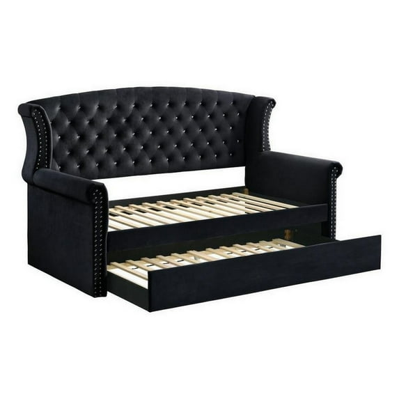 Benjara BM302752 Velvet Upholstery Nailheads Fila Wingback Twin Daybed with Trundle, Black & Chrome