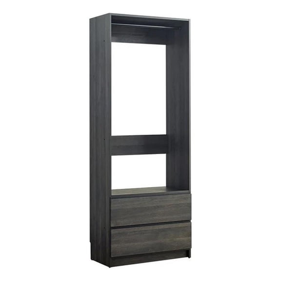 Benjara Dee Modular Closet System- 1 Metal Hanging Rod & 2 Drawer- Black Finish