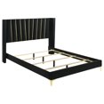 thumbnail image 1 of Benjara Dle King Size Bed, Wingback Headboard, Gold Bracket Feet, Black Upholstery, 1 of 6