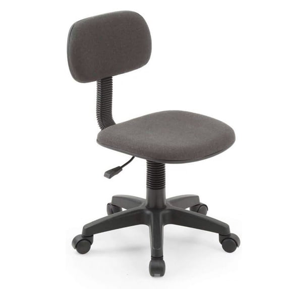 Benjara Gyna 20 Inch Swivel Office Computer Chair, Armless, Ergonomic Design, Gray
