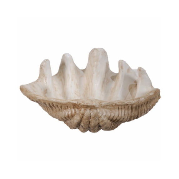 Benjara Medium Clam Shell Accent, White