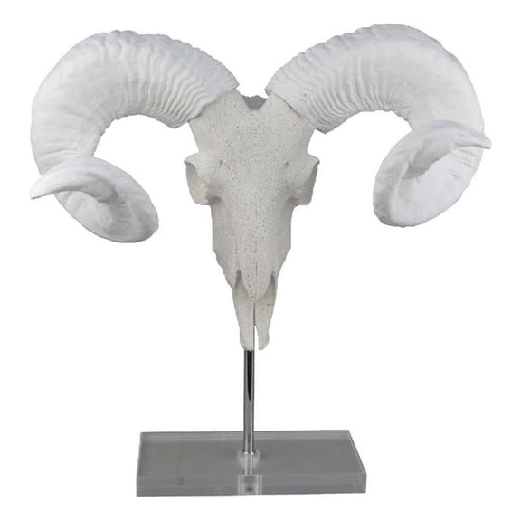 Benjara Mitch Bighead Sheep Ram Sculpture w Curved Horns- White Resin 16 Inch