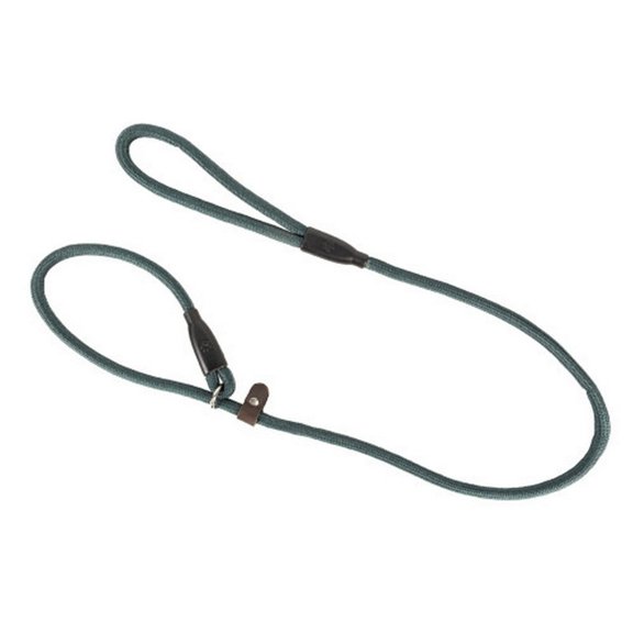 Benji & Flo Classic Dog Slip Lead