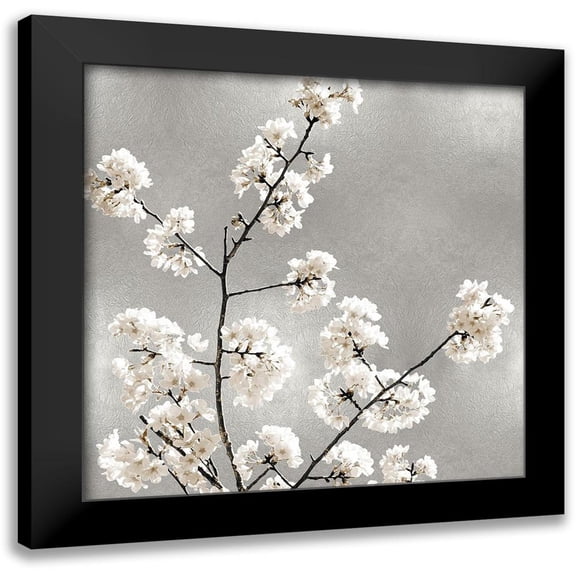 Bennett, Kate 12x12 Black Modern Framed Museum Art Print Titled - Silver Blossoms I