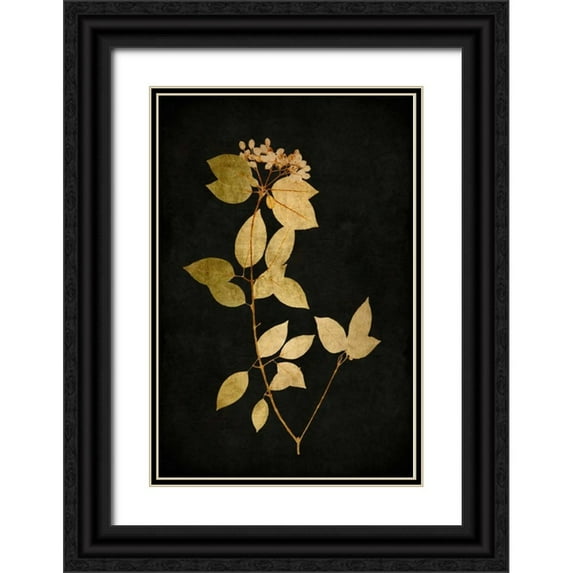 Bennett, Kate 13x18 Black Ornate Wood Framed with Double Matting Museum Art Print Titled - Golden Nature VI