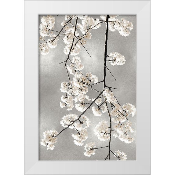Bennett, Kate 13x18 White Modern Wood Framed Museum Art Print Titled - White Blossoms on Silver IV