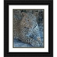 thumbnail image 1 of Bennion, Scott 20x24 Black Ornate Wood Framed with Double Matting Museum Art Print Titled - Young Leopard, 1 of 4