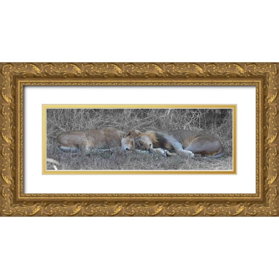 Bennion, Scott 24x11 Gold Ornate Wood Framed with Double Matting Museum Art Print Titled - Lovers