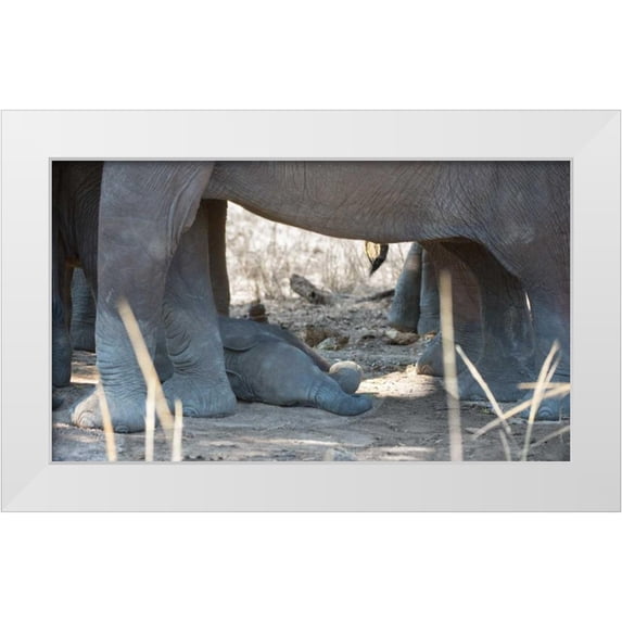Bennion, Scott 24x16 White Modern Wood Framed Museum Art Print Titled - Sleeping Baby