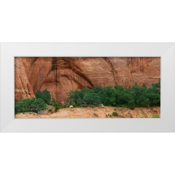 Bennion, Scott 32x16 White Modern Wood Framed Museum Art Print Titled - Wild Horses at Keet Seel