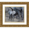 thumbnail image 1 of Bennion, Scott 32x26 Gold Ornate Wood Framed with Double Matting Museum Art Print Titled - Young Elephant, 1 of 4