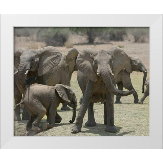 Bennion, Scott 32x26 White Modern Wood Framed Museum Art Print Titled - Too Close