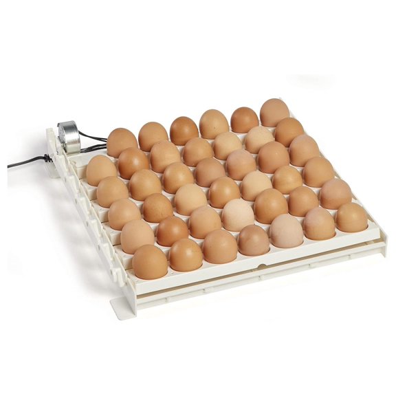 Bennium 3200 Automatic 41 Spot Egg , Eliminate Manual Handling & Improve Hatching Rate