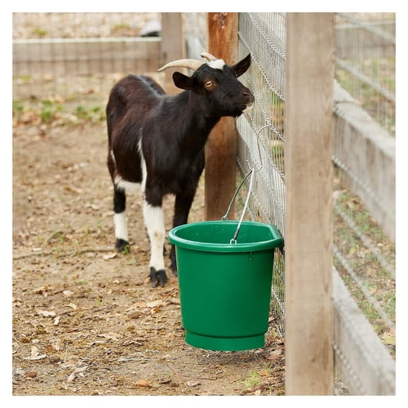 Bennium -80 Plastic 3 Gallon Flat Back 70 Watt Heated Bucket with Built in Thermostat