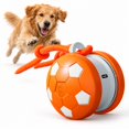 Benny and Bailey Dog Toy, Automatic Rolling Ball with Braided Rope and ...