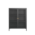 thumbnail image 1 of Benoite 40.04-inch Black Two Door Metal Storage Cabinet with Fluted Clear Doors and Gold Handles, 1 of 2