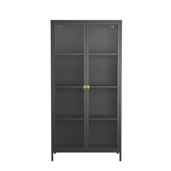 Benoite 63.05-inch Black Two Door Metal Storage Cabinet with Fluted Clear Doors and Gold Handles