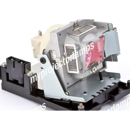 Benq 5J.J8805.001 Projector Lamp with Module
