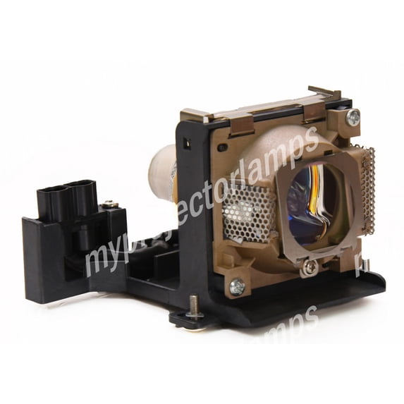 Benq PB8225 Projector Lamp with Module