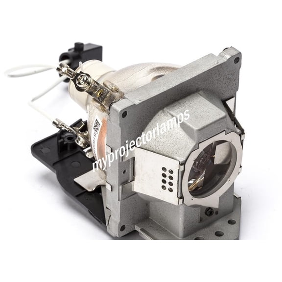 Benq SP920P (#1) Bare Projector Lamp