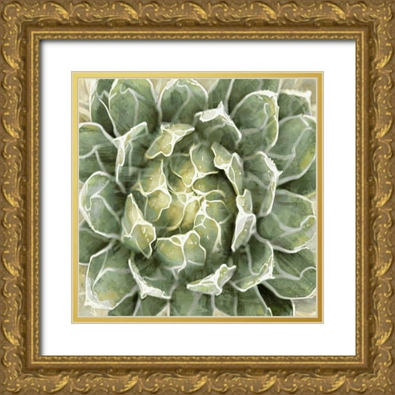 Benson, Lindsay 12x12 Gold Ornate Wood Framed with Double Matting Museum Art Print Titled - Succulent Verde III